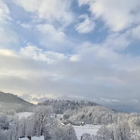 Agroturystyka Trzcinsko Villa *